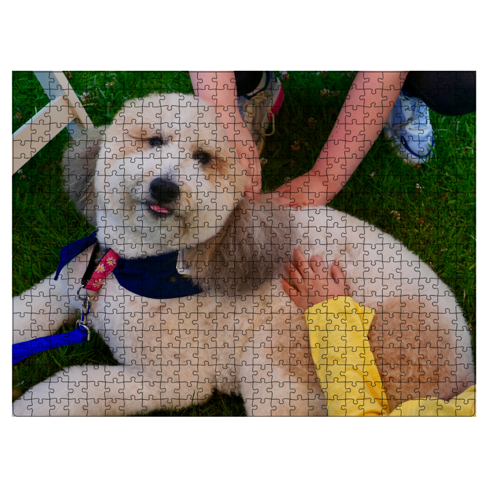 Custom jigsaw puzzles