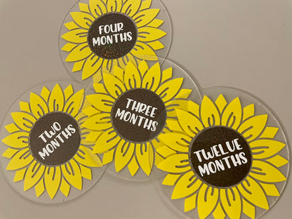 Acrylic Baby Milestone Disks